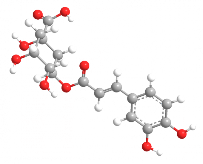 image 3D d'acide chlorogénique