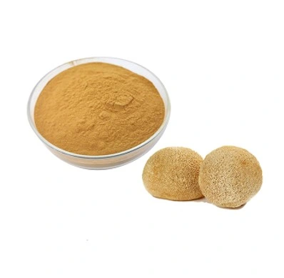 Polysaccharides de l'extrait 10%-50% du ′ s Mane Mushroom Extract Hericium Erinaceus de lion