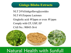 Extrait de Ginkgo Biloba