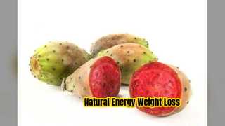 Extrait de thé vert pour l'énergie et la perte de poids