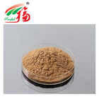 Natural Gynostemma Extract 98% Gypenosides Herbal Plant Extract