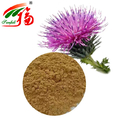 Milk Thistle Extract 80% Silymarin Herbal Plant Extract FOR Inflammation Inhibition