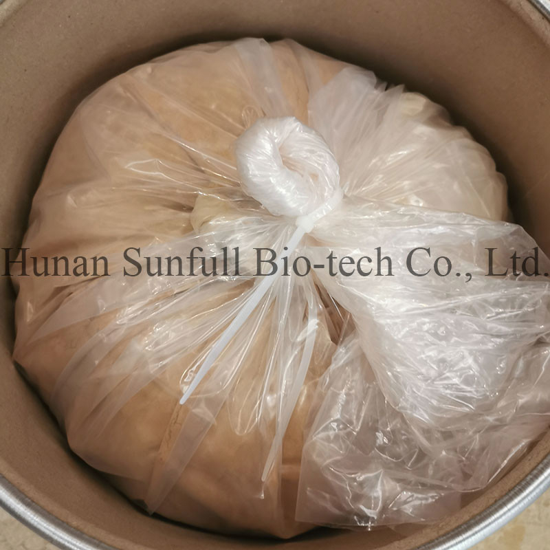 Extrait de feuilles de ginkgo biloba 24/6 CAS 90045-36-6 Cp USP561 Ep EC396