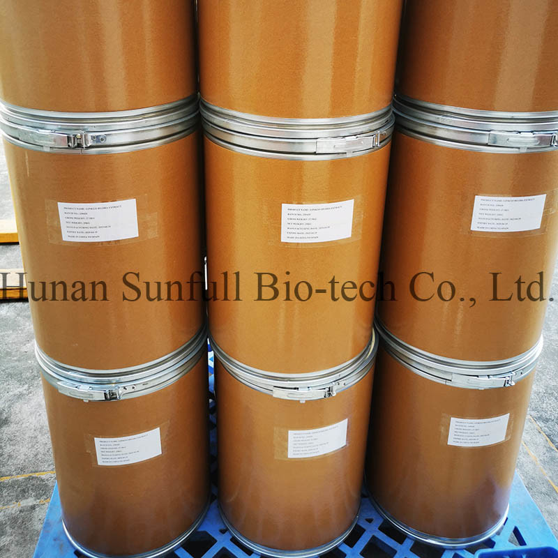 Extrait de feuilles de ginkgo biloba 24/6 CAS 90045-36-6 Cp USP561 Ep EC396