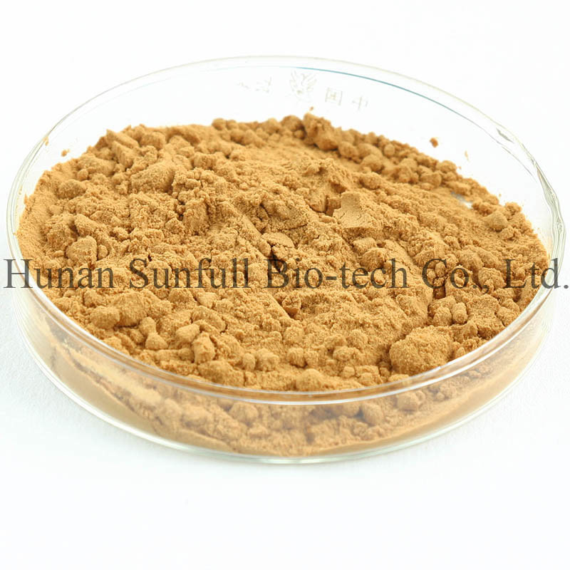 Extrait de feuilles de ginkgo biloba 24/6 CAS 90045-36-6 Cp USP561 Ep EC396