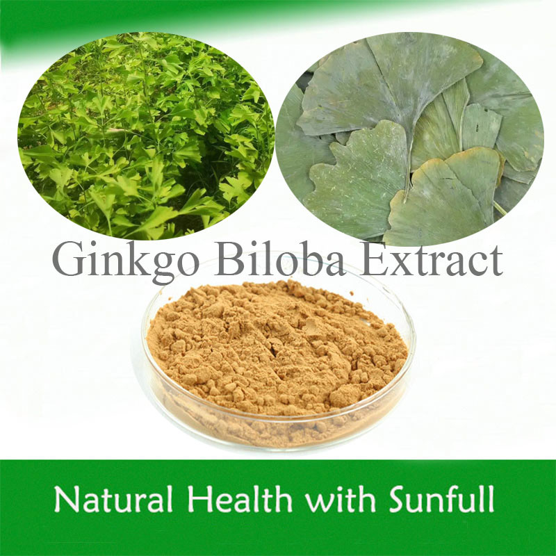Extrait de feuilles de ginkgo biloba 24/6 CAS 90045-36-6 Cp USP561 Ep EC396