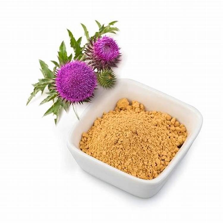Extrait de plante à base de chardon-Marie 80% de silimarine  Gardien de la nature pour la santé du foie et la désintoxication