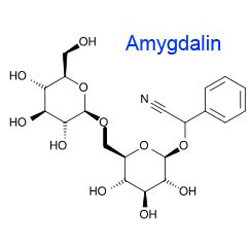 Amygdaline naturelle 98% cristalline blanche poudre amère amande amère extrait de graines d'abricot pour intermédiaires pharmaceutiques
