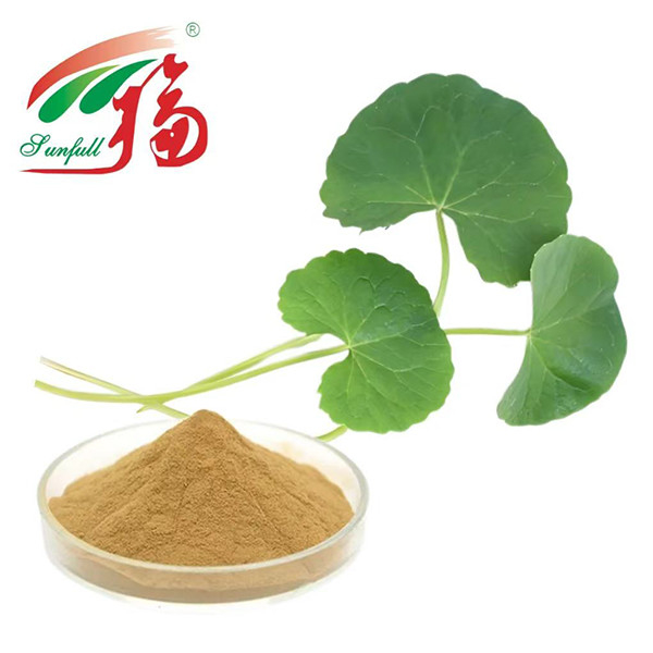L'usine de cosmétiques Gotu Kola Extract extrait 80% d'asiaticoside pour les soins de la peau, la réparation des barrières et l'anti-irritation, pour les peaux sensibles ou sujettes à l'acné