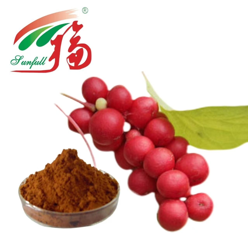 Extrait de Schisandra Chinensis 5 en 1 merveille adaptogène: Schisandra Chinensis - équilibre, énergisant, détoxifiant!