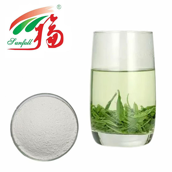 Le pouvoir antioxydant ultime! 98% EGCG Extrait de thé vert - Le bouclier de la nature pour la vitalité