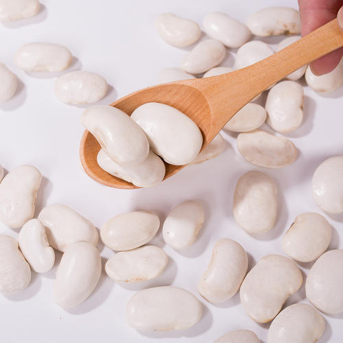 Extrait de haricots blancs de qualité supérieure (Phaseolus vulgaris) - Inhibiteur α-amylase de haute pureté pour la gestion du poids et de la glycémie