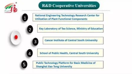 Poudre d'extrait de Morchella Esculenta, 100% passant à travers un tamis de 80 mesh, durée de vie de 2 ans et capacité de production de 20t/an