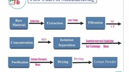 Poudre jaune brun fine d'extrait de Cordyceps Sinensis de qualité alimentaire pour les produits de santé