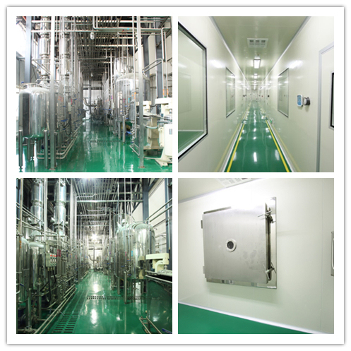 Poudre d'extrait de Marasmius Androsaceus de haute qualité avec 80 mailles, durée de vie de 2 ans et capacité de production de 20 tonnes par an