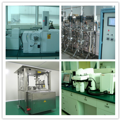 Natural Morchella Esculenta Extract Powder with 100% Through 80 Mesh 2 Years Lifetime and 20t/Year Production Capacity