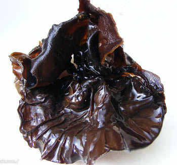 Poudre d'extrait de champignon noir avec 40% de polysaccharides pour les aliments fonctionnels et les produits de santé afin de réguler la glycémie et les effets hypolipidémiants