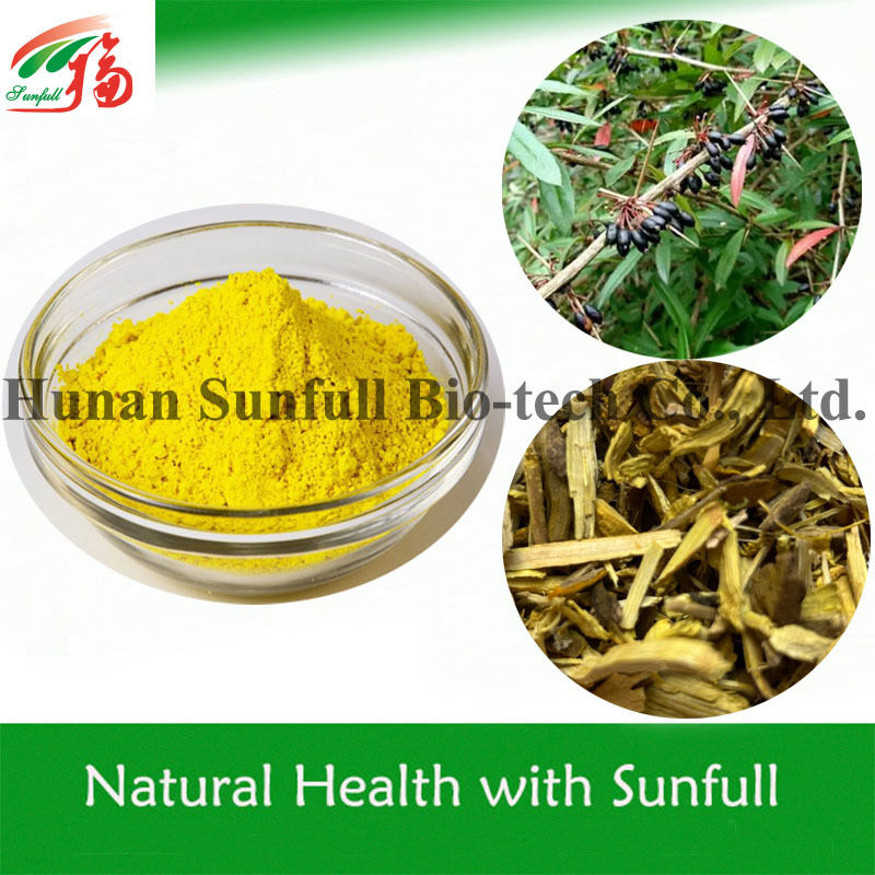 Extrait antibactérien de chlorhydrate de berbérine poudre cristalline jaune de l'espèce Berberis (barberry) avec numéro CAS 633-65-8