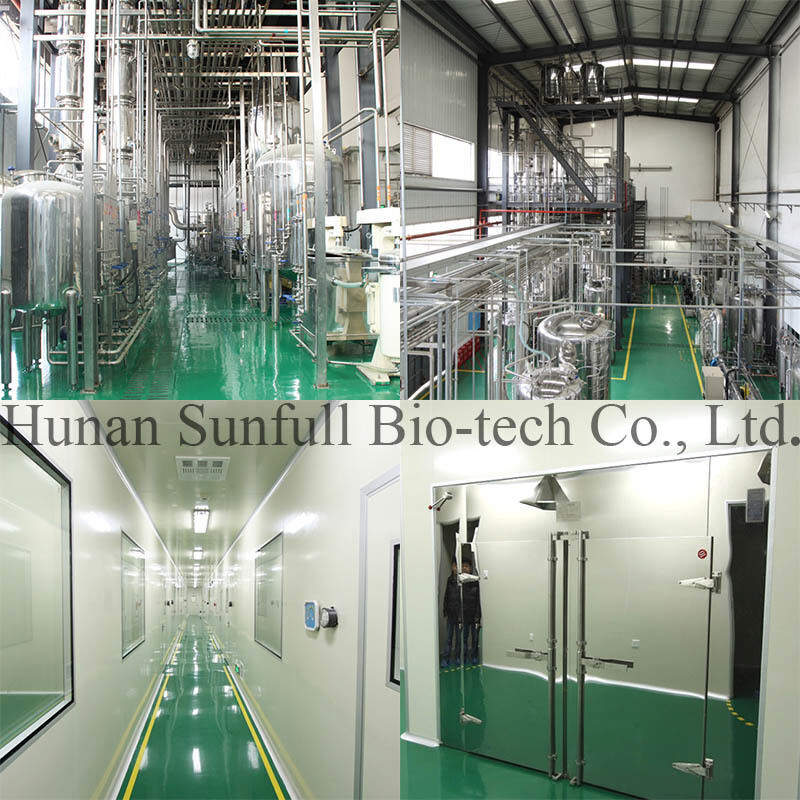 Extrait antibactérien de chlorhydrate de berbérine poudre cristalline jaune de l'espèce Berberis (barberry) avec numéro CAS 633-65-8