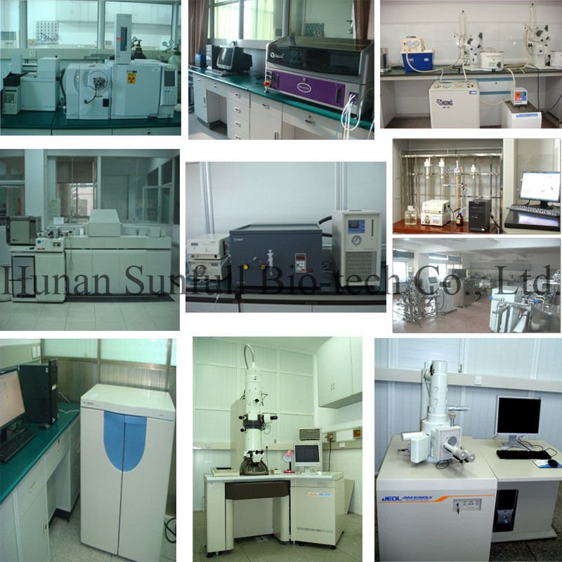 Extrait antibactérien de chlorhydrate de berbérine poudre cristalline jaune de l'espèce Berberis (barberry) avec numéro CAS 633-65-8