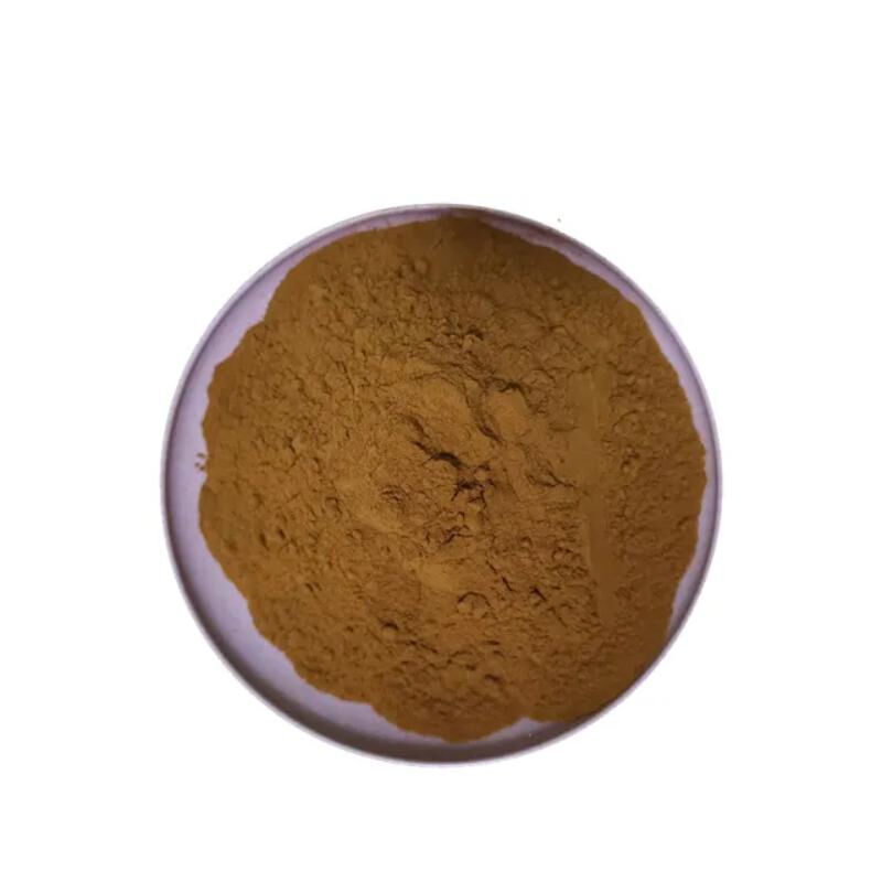 Poudre d'extrait de Chaga 40% Polysaccharides Poudre fine brun jaune pour applications alimentaires et de soins de santé