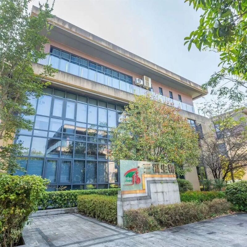 Extrait de champignon huître en poudre avec 20% de polysaccharides pour aliments fonctionnels, poudre fine jaune brun