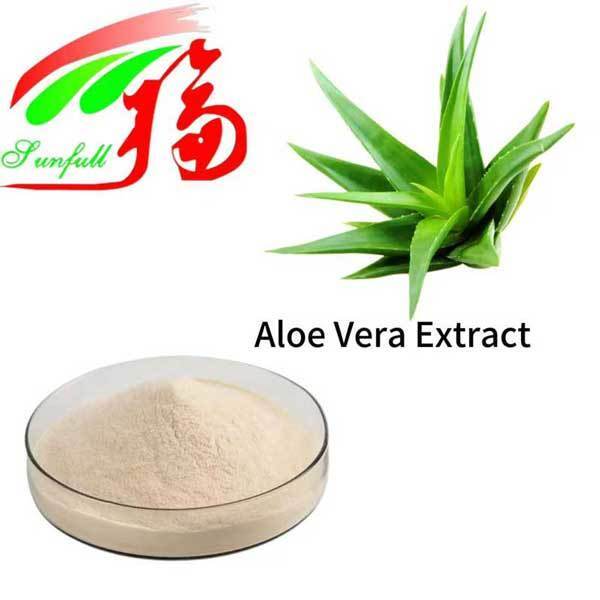 Extrait d'aloe vera gel congélation poudre séchée en vrac Gel pur naturel d'aloe vera pulvérisation poudre séchée aloverose Aloïne a+B Absorbance