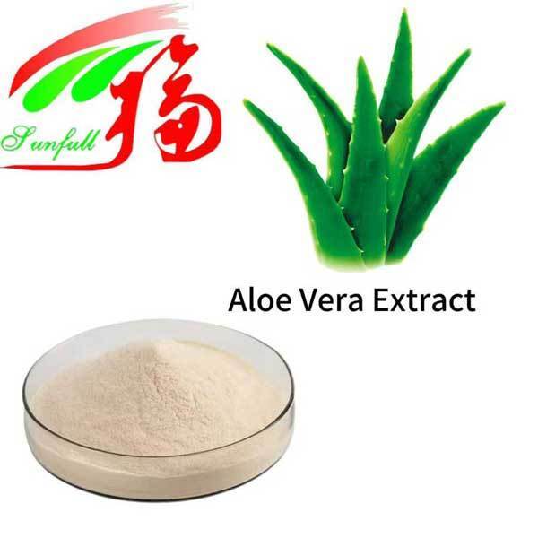 Extrait d'aloe vera gel congélation poudre séchée en vrac Gel pur naturel d'aloe vera pulvérisation poudre séchée aloverose Aloïne a+B Absorbance