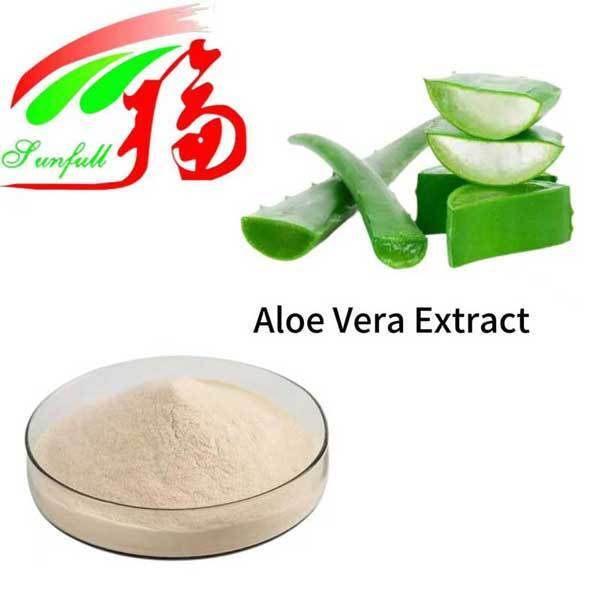 Extrait d'aloe vera gel congélation poudre séchée en vrac Gel pur naturel d'aloe vera pulvérisation poudre séchée aloverose Aloïne a+B Absorbance
