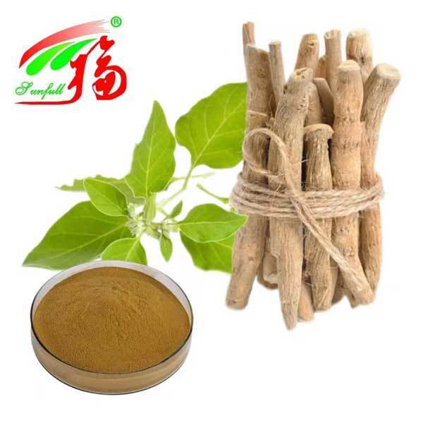 Withania Somnifera Afrique du Sud Withanolides 5% Extrait de racine d'ashwagandha Produits alimentaires pour la santé