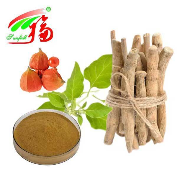 Withania Somnifera Afrique du Sud Withanolides 5% Extrait de racine d'ashwagandha Produits alimentaires pour la santé