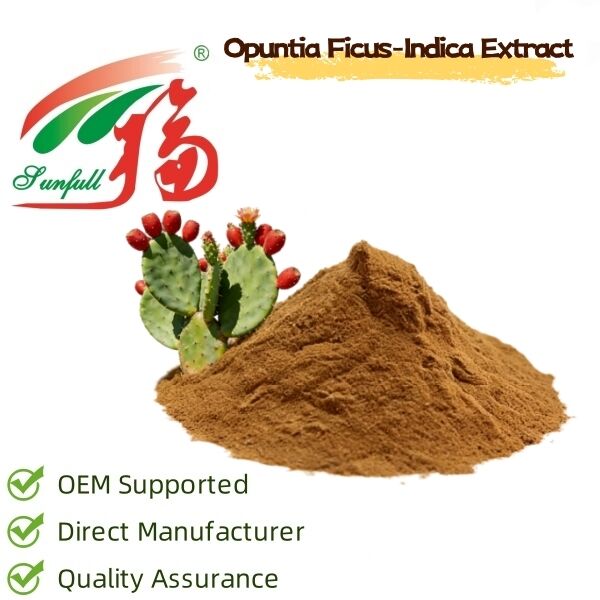 Extrait de cactus (tête, fruit et coussin) - Extrait végétal hydratant et antioxydant naturel pour les produits de soins de la peau, les cosmétiques et les produits fonctionnels