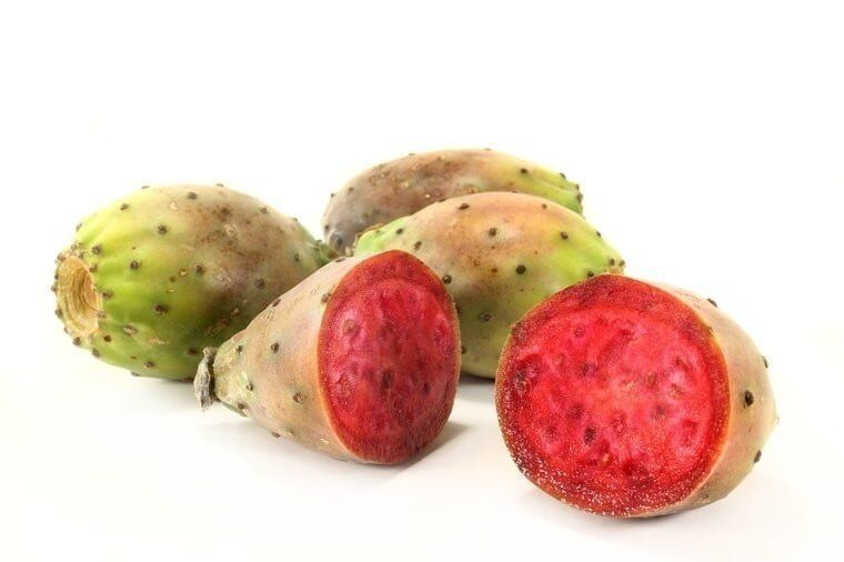 Extrait de cactus (tête, fruit et coussin) - Extrait végétal hydratant et antioxydant naturel pour les produits de soins de la peau, les cosmétiques et les produits fonctionnels