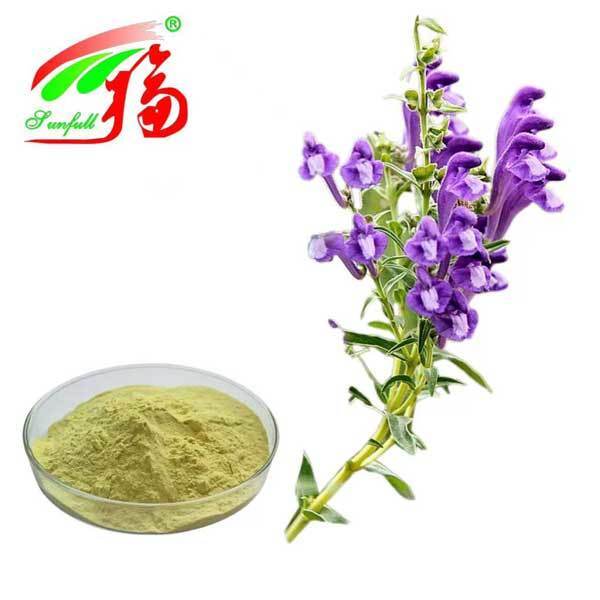 Ingrédients de soins de santé 10% à 95% Baicalin Baicalin poudre Scutellaria baicalensis Georgi Extrait Radix Scutellariae Extrait Baïkal Skullcap Extrait