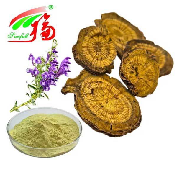 Ingrédients de soins de santé 10% à 95% Baicalin Baicalin poudre Scutellaria baicalensis Georgi Extrait Radix Scutellariae Extrait Baïkal Skullcap Extrait