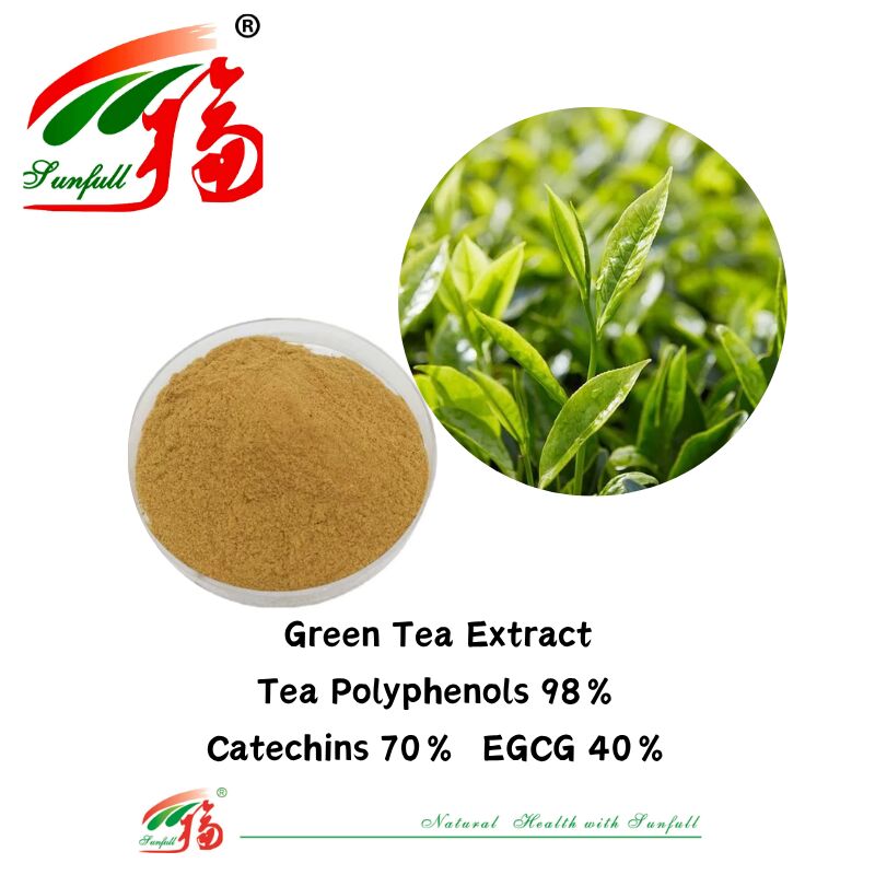 Hunan Sunfull Ingrédients organiques à base de plantes Théaflavines 10~40% EGCG 40% Catéchines 70% Thé Polyphénols 98% Extrait de thé vert