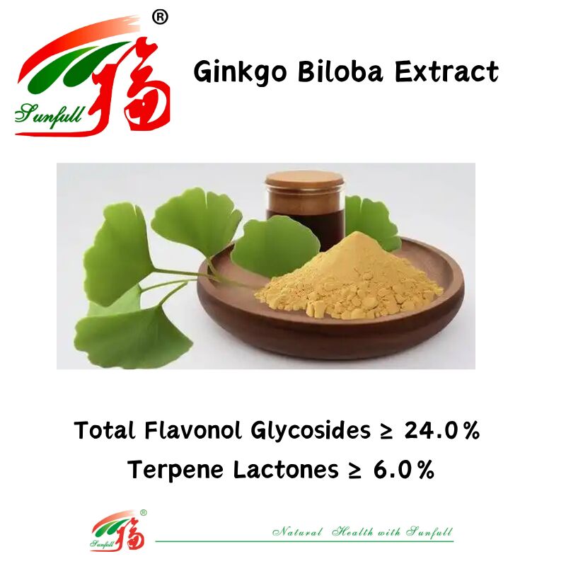 100% naturel soluble dans l'eau 24% ginkgolides Poudre d'extrait de feuilles de ginkgo biloba pour compléments alimentaires