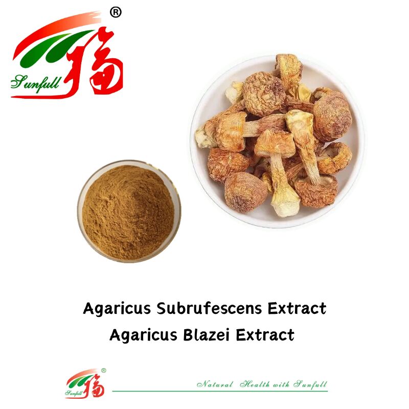 Suppléments alimentaires Hunan Sunfull Agaricus Subrufescens/Hericium Erinaceus/Antrodia/Cordyceps Sinensis/Coriolus Versicolor/Extrait de champignon en poudre