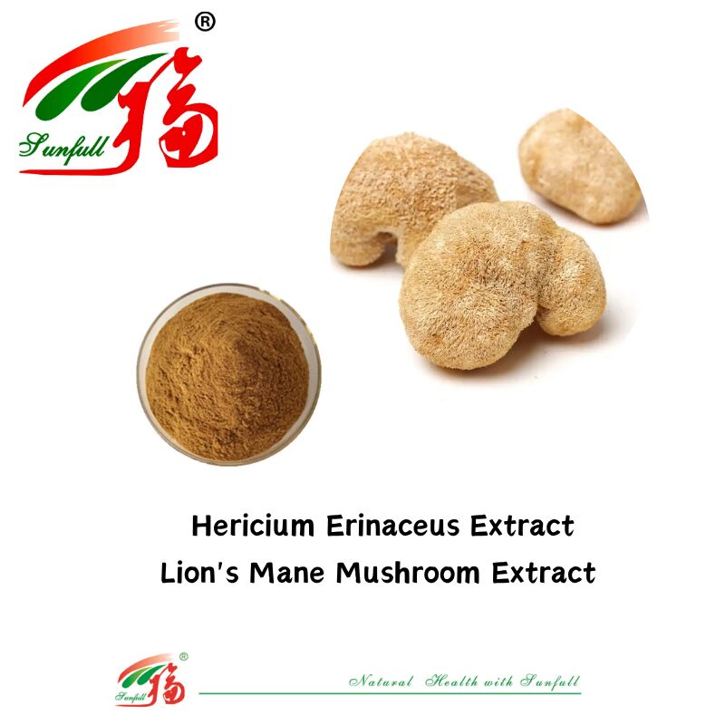 Suppléments alimentaires Hunan Sunfull Agaricus Subrufescens/Hericium Erinaceus/Antrodia/Cordyceps Sinensis/Coriolus Versicolor/Extrait de champignon en poudre