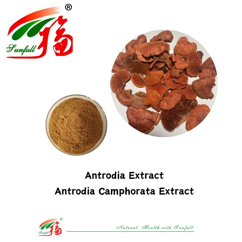 Suppléments alimentaires Hunan Sunfull Agaricus Subrufescens/Hericium Erinaceus/Antrodia/Cordyceps Sinensis/Coriolus Versicolor/Extrait de champignon en poudre