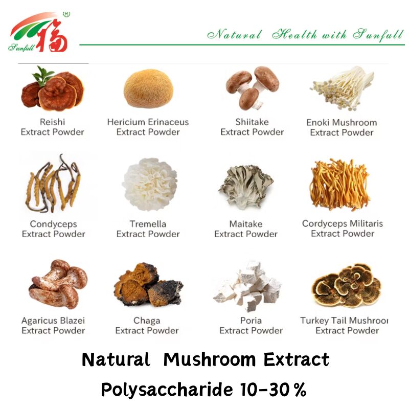 Ingrédient organique naturel Suppléments alimentaires Polysaccharide 10 à 30% Phellinus Igniarius /Ganoderma Lucidum/Chaga/Maitake / Shiitake Extrait de champignon en poudre