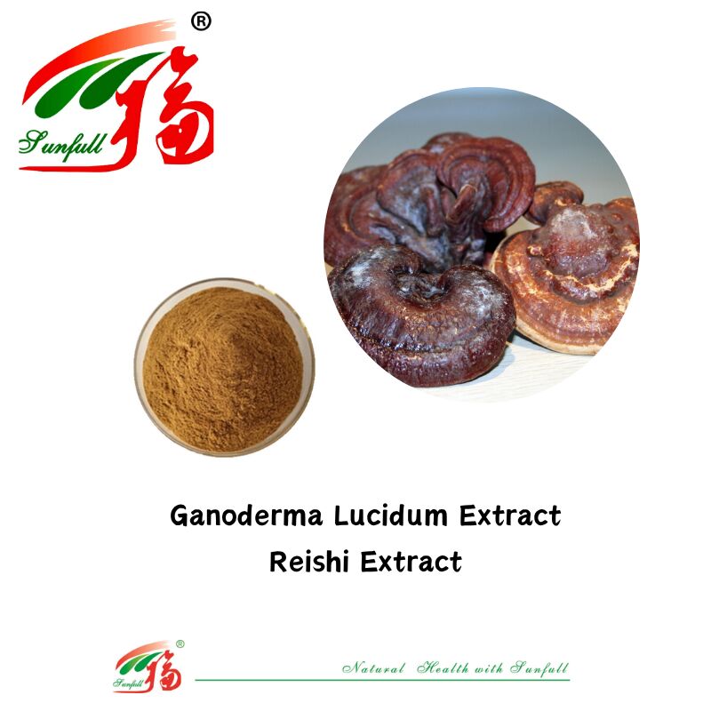 Ingrédient organique naturel Suppléments alimentaires Polysaccharide 10 à 30% Phellinus Igniarius /Ganoderma Lucidum/Chaga/Maitake / Shiitake Extrait de champignon en poudre