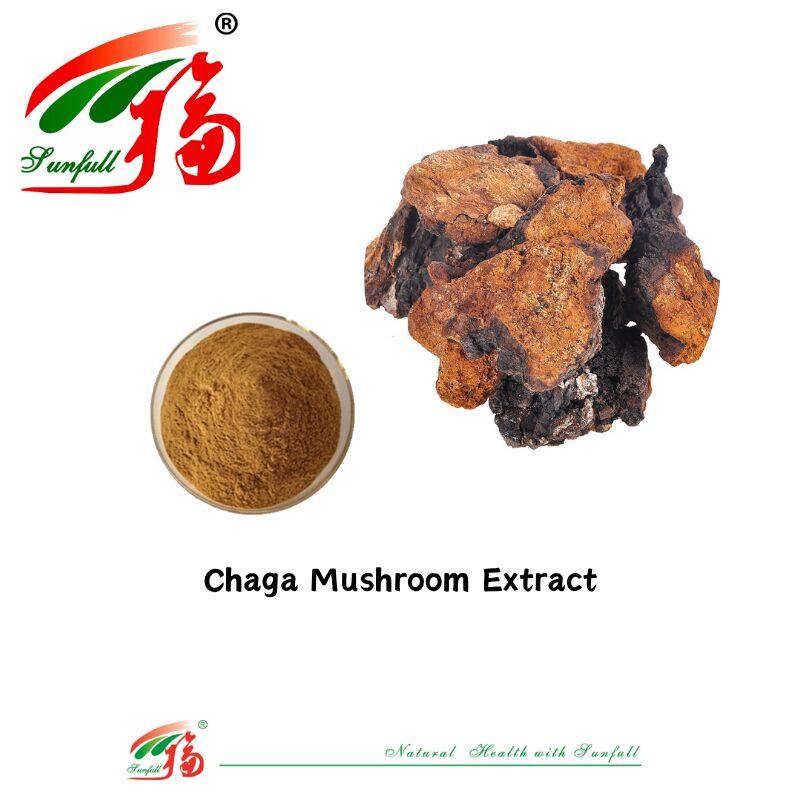 Ingrédient organique naturel Suppléments alimentaires Polysaccharide 10 à 30% Phellinus Igniarius /Ganoderma Lucidum/Chaga/Maitake / Shiitake Extrait de champignon en poudre