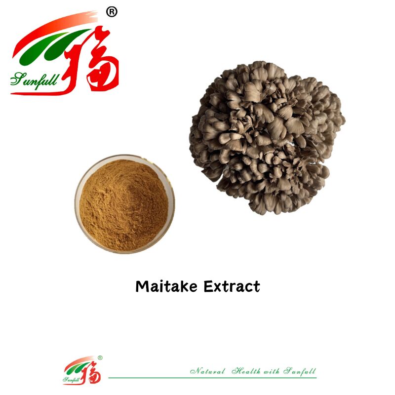 Ingrédient organique naturel Suppléments alimentaires Polysaccharide 10 à 30% Phellinus Igniarius /Ganoderma Lucidum/Chaga/Maitake / Shiitake Extrait de champignon en poudre