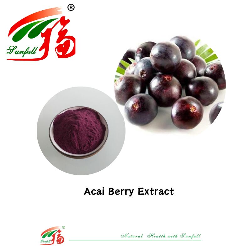 Fourniture d'usine Hunan Sunfull Antioxydants naturels de haute qualité Anthocyanes 1% à 25% Extrait de myrtille/de vieillard/de baies d'açai/de grossières/de myrtilles