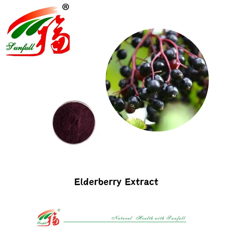 Fourniture d'usine Hunan Sunfull Antioxydants naturels de haute qualité Anthocyanes 1% à 25% Extrait de myrtille/de vieillard/de baies d'açai/de grossières/de myrtilles