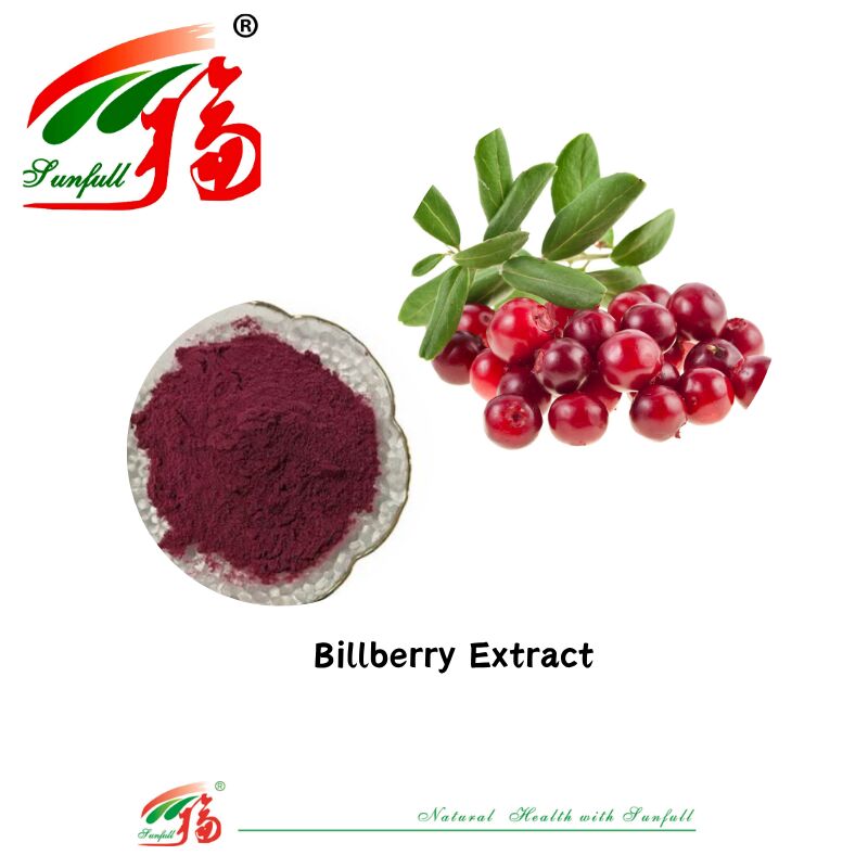 Fourniture d'usine Hunan Sunfull Antioxydants naturels de haute qualité Anthocyanes 1% à 25% Extrait de myrtille/de vieillard/de baies d'açai/de grossières/de myrtilles
