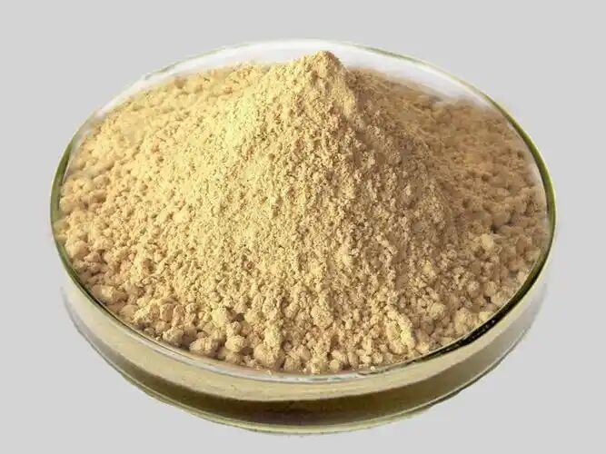 Herbal Silybum Marianum Plante de graines de chardon-Marie en poudre 30% Silybines HPLC UV 40%~80% Liposome 40%-80% Silymarin Extrait de chardon-Marie pour la santé du foie