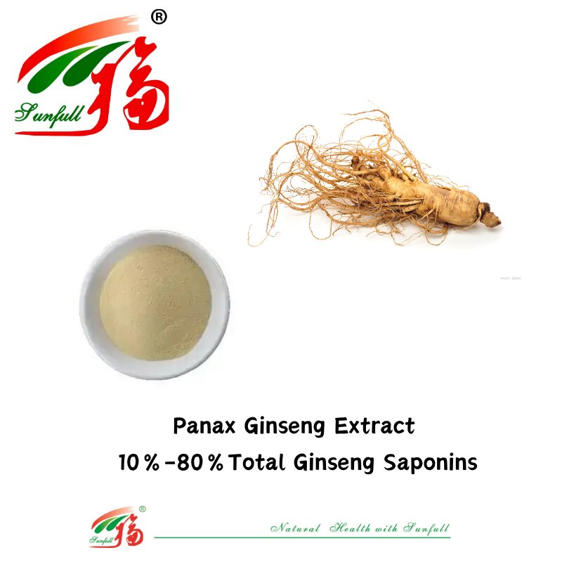 Sunfull Manufacturer échantillon gratuit Médecine traditionnelle chinoise HPLC organique 10% 80% Ginsénosides Ginseng américain / Extrait de ginseng coréen / Extrait de ginseng Panax