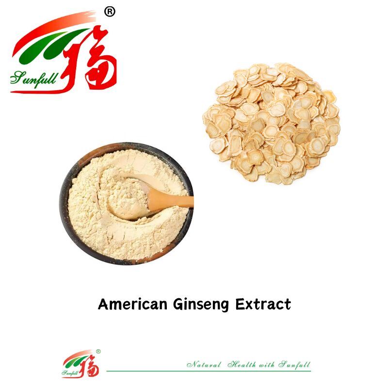 Sunfull Manufacturer échantillon gratuit Médecine traditionnelle chinoise HPLC organique 10% 80% Ginsénosides Ginseng américain / Extrait de ginseng coréen / Extrait de ginseng Panax